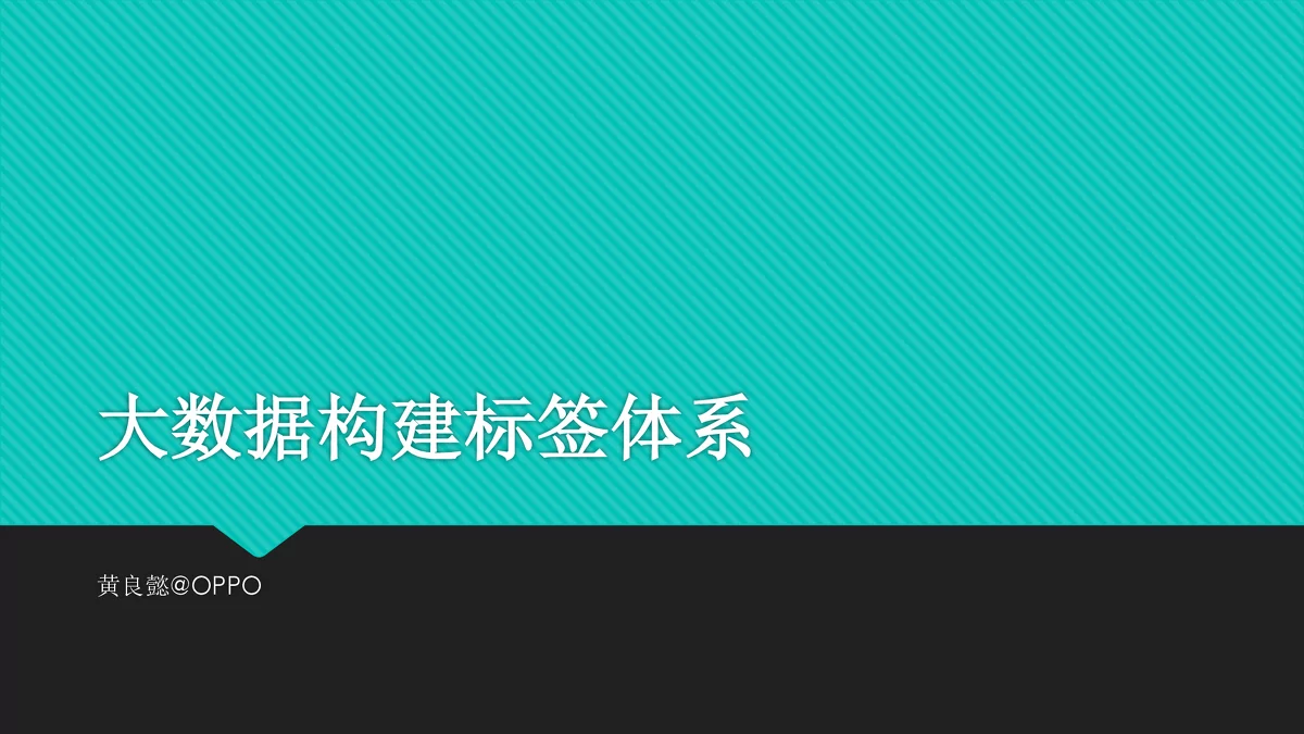 大数据构建标签体系：从系统到应用的全面解析